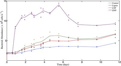 The Role of Heterotrophic Bacteria and Archaea in the Transformation of Lignin in the Open Ocean